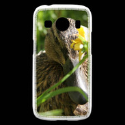 Coque Samsung Galaxy Ace4 Canard sauvage PB 1