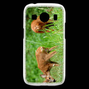Coque Samsung Galaxy Ace4 Chevreuil PB 1
