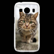 Coque Samsung Galaxy Ace4 Portrait de chat PR