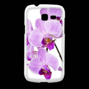 Coque Samsung Galaxy Fresh Orchidée violette