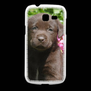 Coque Samsung Galaxy Fresh Chien labrador chocolat 3