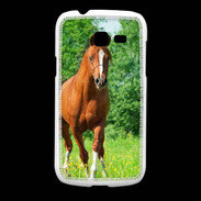 Coque Samsung Galaxy Fresh Cheval arabe robe marron et blanche