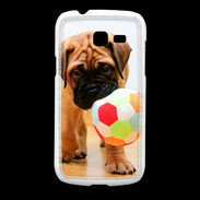 Coque Samsung Galaxy Fresh Bull mastiff chiot