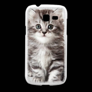 Coque Samsung Galaxy Fresh Chaton gris 