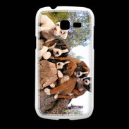 Coque Samsung Galaxy Fresh Chiots Boxer sur un tronc d''arbre