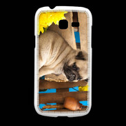 Coque Samsung Galaxy Fresh Chiot Carlin