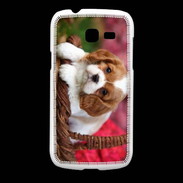 Coque Samsung Galaxy Fresh Chiot Cavalier King Charles 1
