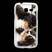 Coque Samsung Galaxy Fresh Chiot Saint Bernard