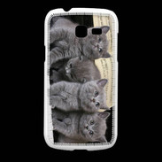Coque Samsung Galaxy Fresh Chatons musiciens