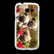 Coque Samsung Galaxy Fresh Trio de chiots Carlin