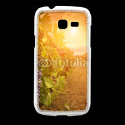 Coque Samsung Galaxy Fresh Automne, vignes, couché de soleil