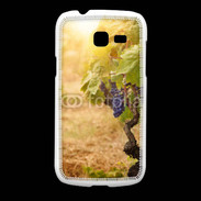 Coque Samsung Galaxy Fresh vignes automne
