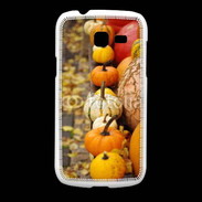 Coque Samsung Galaxy Fresh Citrouilles