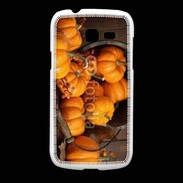 Coque Samsung Galaxy Fresh Citrouilles 2