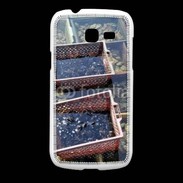 Coque Samsung Galaxy Fresh Conchyliculteur