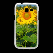 Coque Samsung Galaxy Fresh Champs de Tournesol