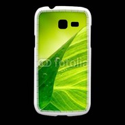 Coque Samsung Galaxy Fresh Feuille écologie