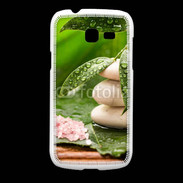 Coque Samsung Galaxy Fresh Galet et feuilles mouillées