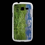 Coque Samsung Galaxy Fresh Champs de cannabis