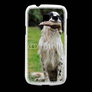 Coque Samsung Galaxy Fresh setter anglais avec bécasse