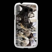 Coque Samsung Galaxy Fresh Abrivado Chevaux et taureaux