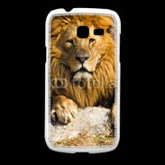 Coque Samsung Galaxy Fresh Tête de lion