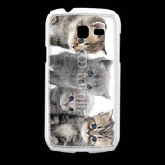 Coque Samsung Galaxy Fresh Groupe de chatons