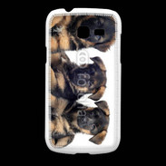 Coque Samsung Galaxy Fresh Chiots Berger Allemand