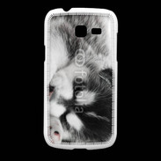 Coque Samsung Galaxy Fresh Chiot Husky