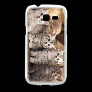 Coque Samsung Galaxy Fresh Chaton gris 2