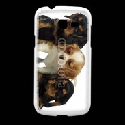 Coque Samsung Galaxy Fresh Chiot King Charles