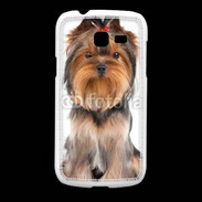 Coque Samsung Galaxy Fresh Yorkshire Terrier