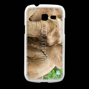 Coque Samsung Galaxy Fresh Elephant d'Afrique