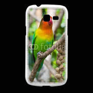 Coque Samsung Galaxy Fresh Oiseau Inséparable