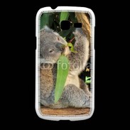 Coque Samsung Galaxy Fresh Koala 2