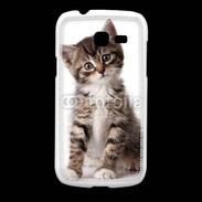 Coque Samsung Galaxy Fresh Chaton gris 3