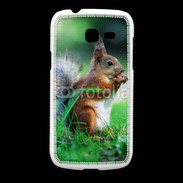 Coque Samsung Galaxy Fresh Ecureuil