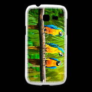 Coque Samsung Galaxy Fresh Trois perroquets bleu et jaune