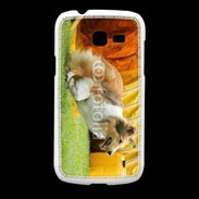 Coque Samsung Galaxy Fresh Agility Colley