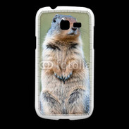 Coque Samsung Galaxy Fresh Marmotte 2