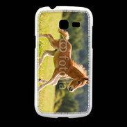Coque Samsung Galaxy Fresh Poulain dans un champs
