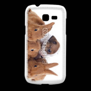 Coque Samsung Galaxy Fresh Gardien de lapins