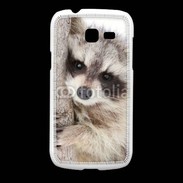 Coque Samsung Galaxy Fresh Raton laveur dans un arbre
