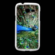 Coque Samsung Galaxy Fresh Paon faisant la roue