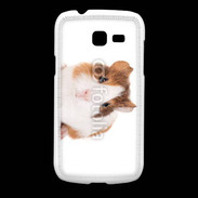 Coque Samsung Galaxy Fresh Cochon d'inde 2