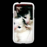 Coque Samsung Galaxy Fresh Duo de chatons 2