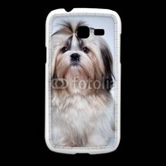 Coque Samsung Galaxy Fresh Chiot Shihtzu