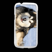 Coque Samsung Galaxy Fresh Chien d'Alaska