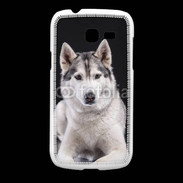 Coque Samsung Galaxy Fresh Chien Husky de Sibérie