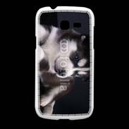 Coque Samsung Galaxy Fresh Chiot Husky de Sibérie